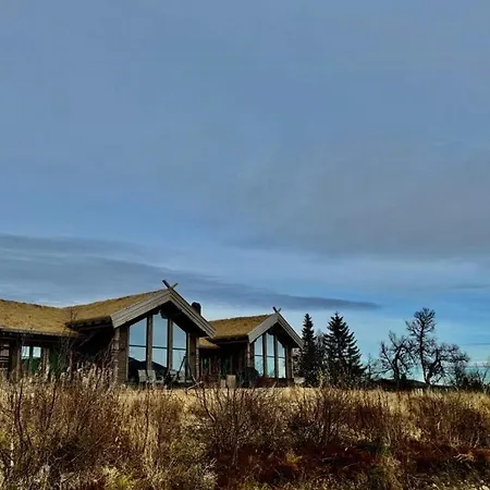 Family With Ski-in-ski-out In Holiday home Trysil