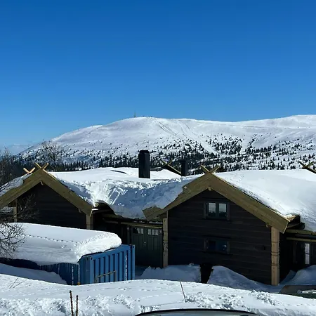 Family With Ski-inski-out In Feriehus Trysil