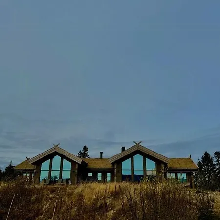 Family With Ski-inski-out In Feriehus *