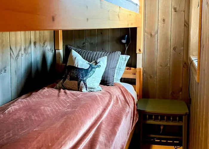 Ferienhaus Family With Ski-inski-out In Trysil