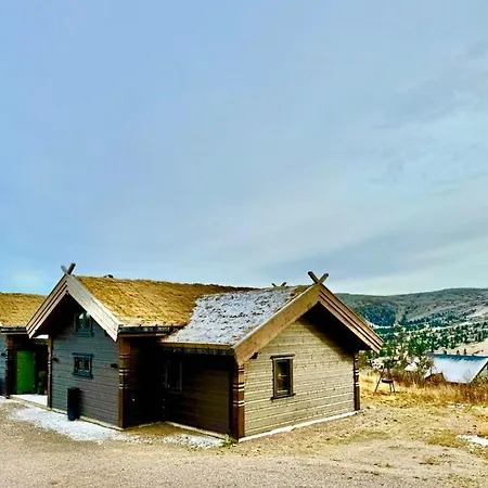 Family With Ski-inski-out In Holiday home Trysil