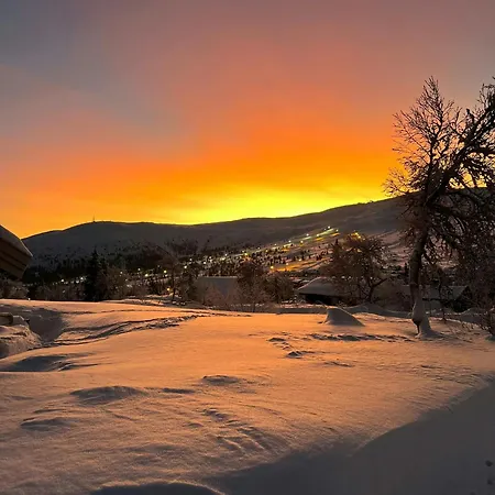 Family With Ski-inski-out In Trysil