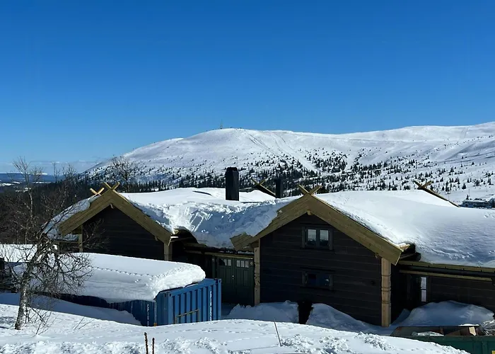 Family With Ski-inski-out In Hébergement de vacances Trysil
